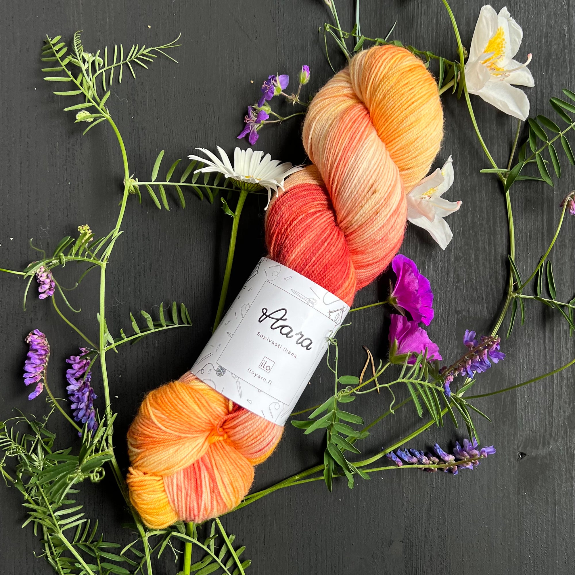 Aara - Onnelliset Erilaiset