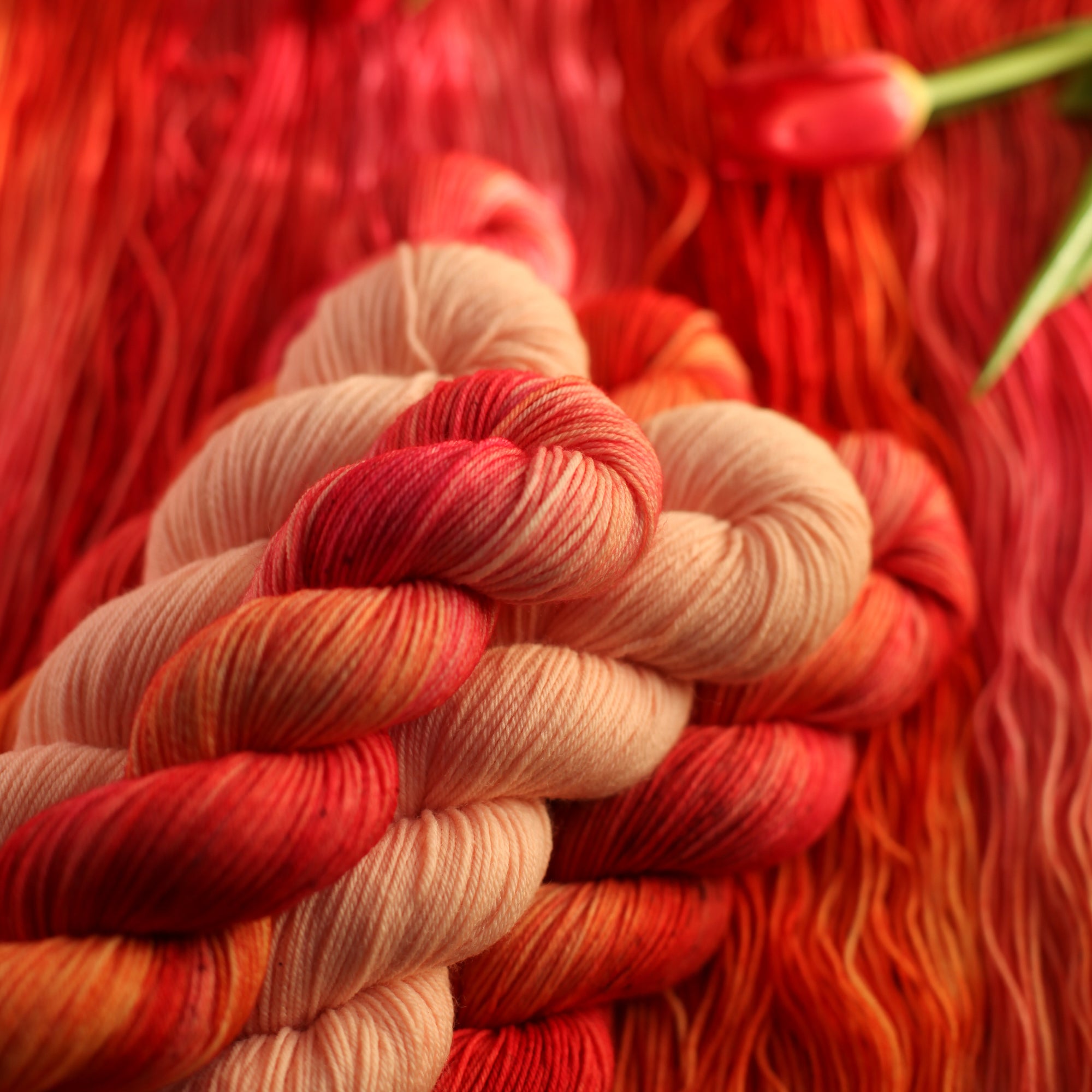 Aara - Mielenmaisema