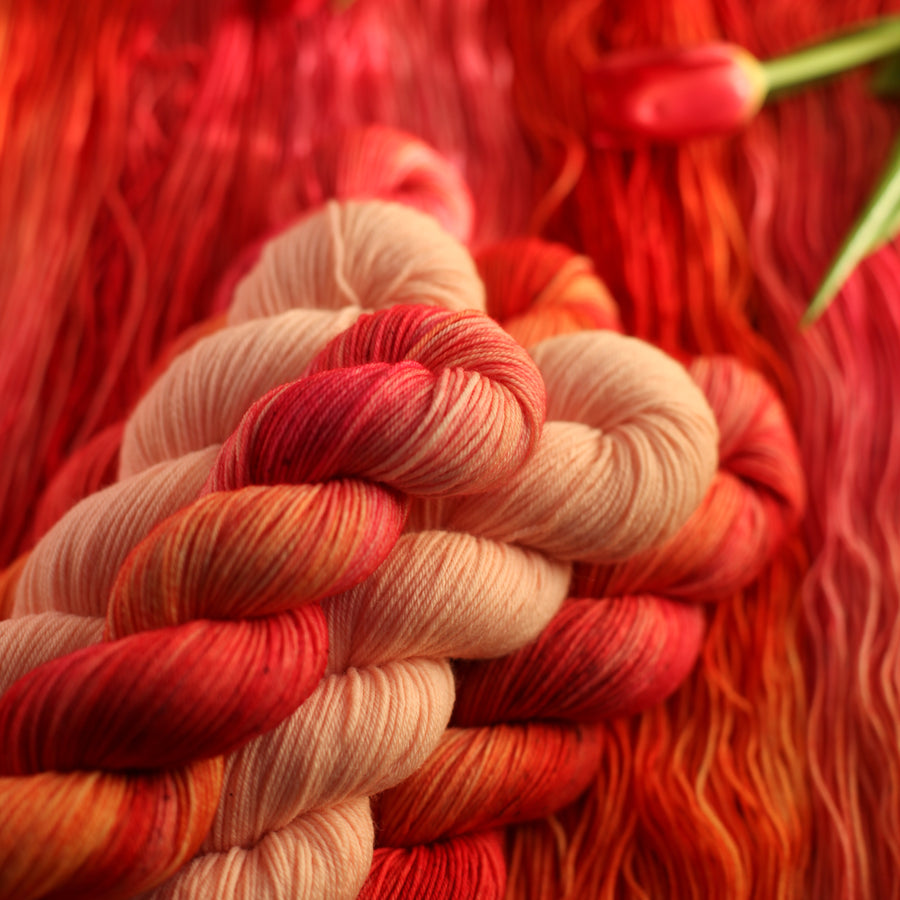 Aara - Mielenmaisema