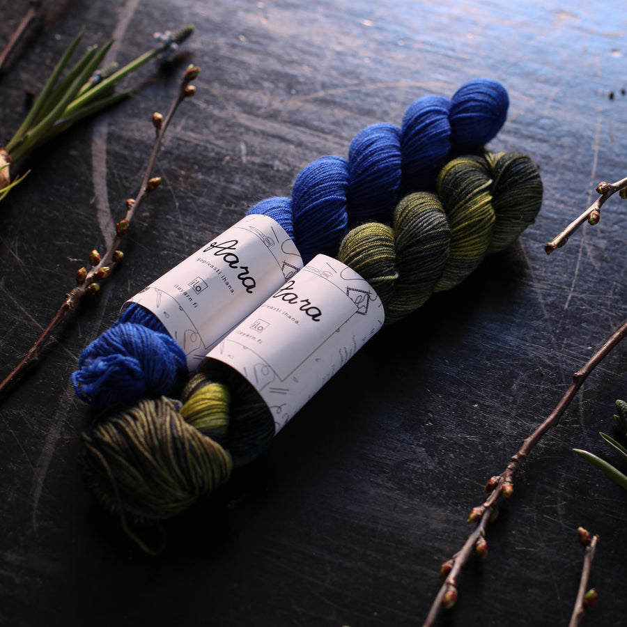 Aara - Mielenmaisema