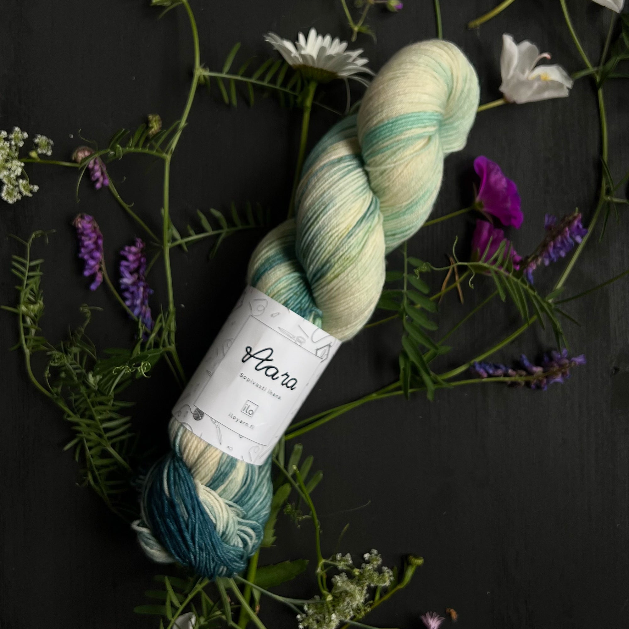 Aara - Onnelliset Erilaiset