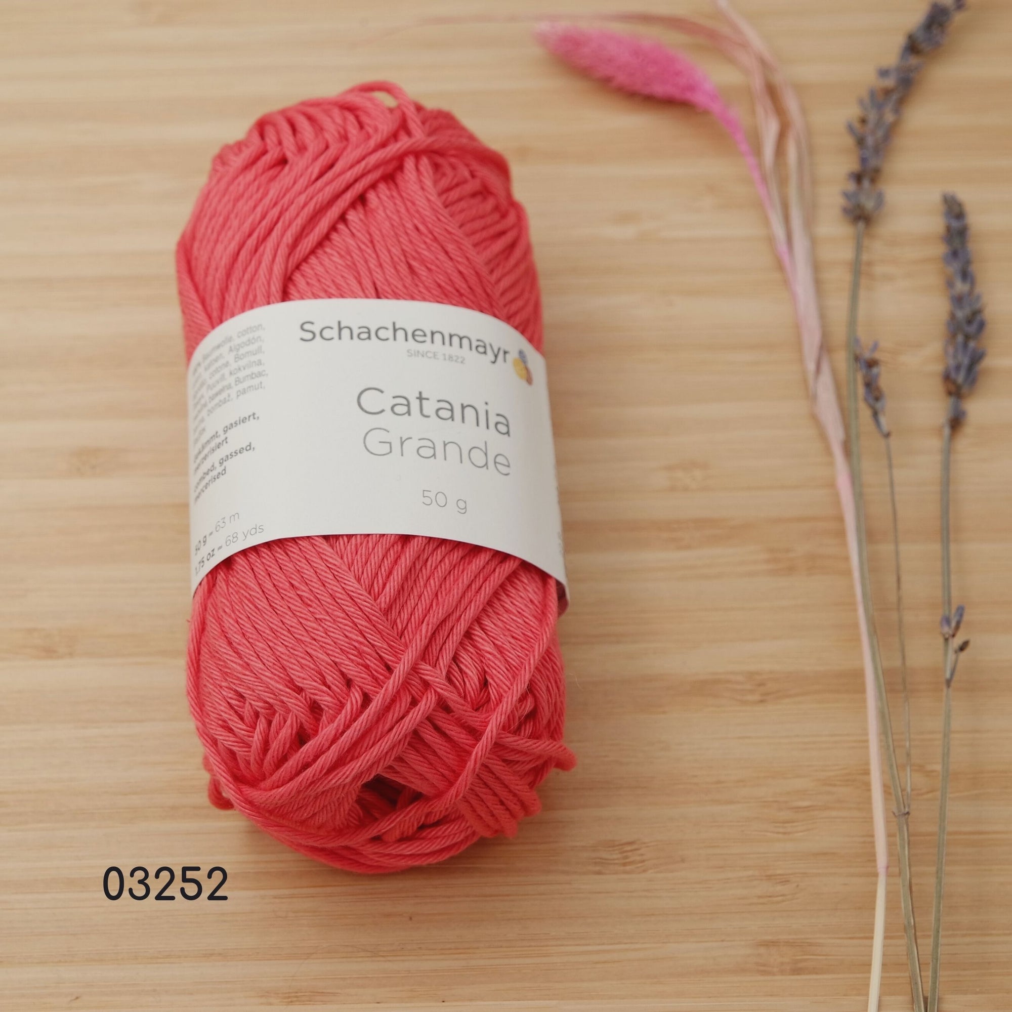 Schachenmayr - Catania Grande