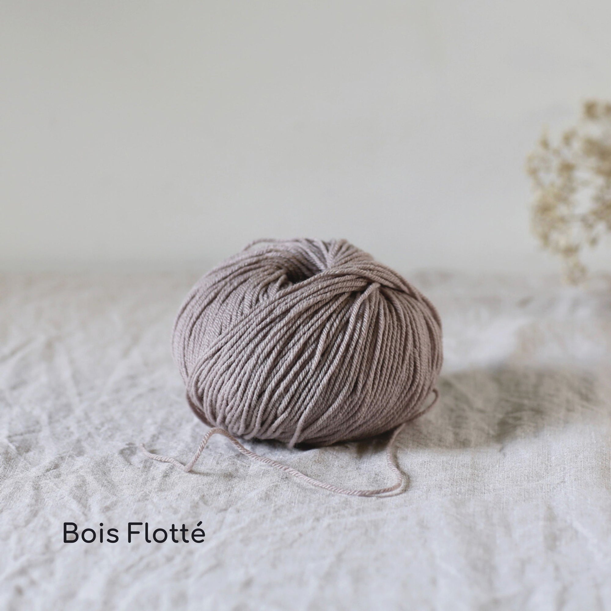 De Rerum Natura - Albertine